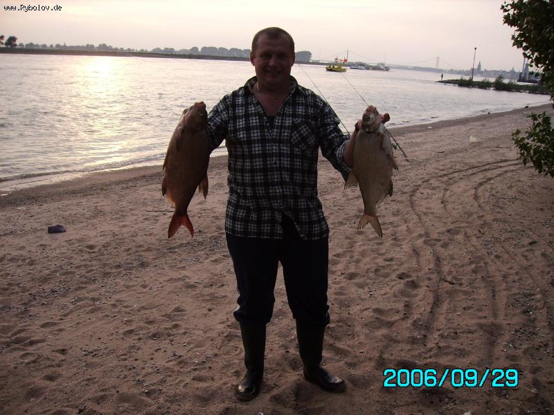 --Emerich Rhein - ������� (����������)