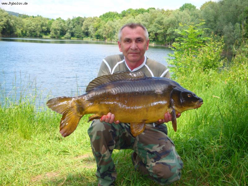 --Karp -  ()
