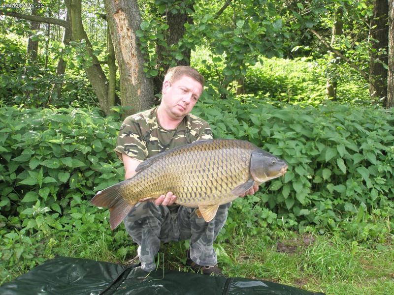 --schupfen karp 11,7kg -  ()