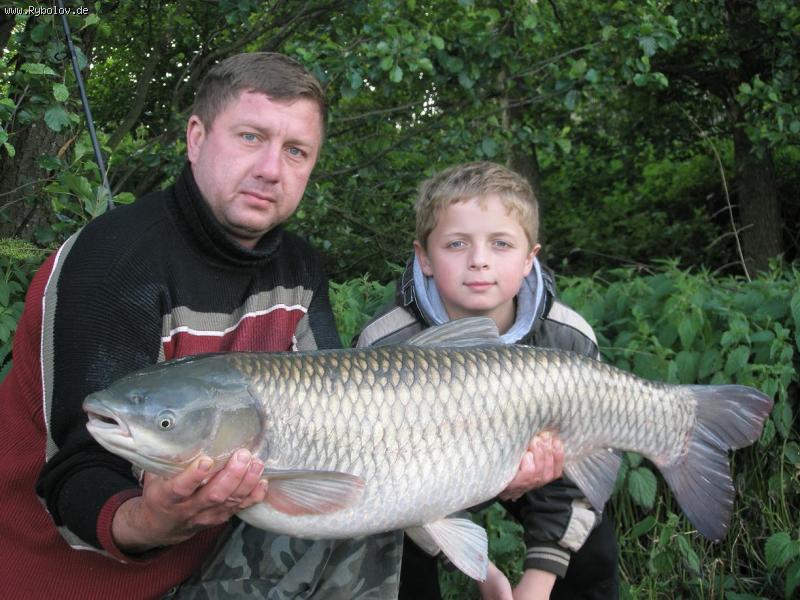 --���� 15,8�� - ������� (����������)