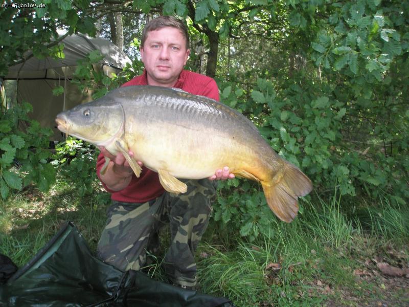 --���� - ������� (����������)