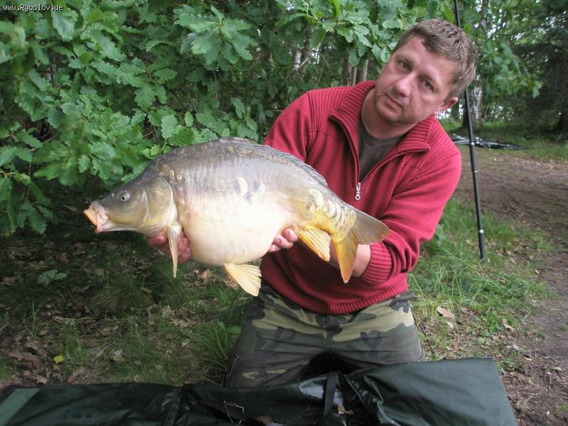 --��������� - ������� (����������)