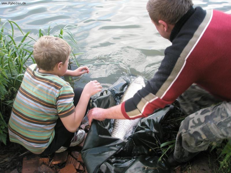 --������ ������� ���� ���� !! - ������� (����������)