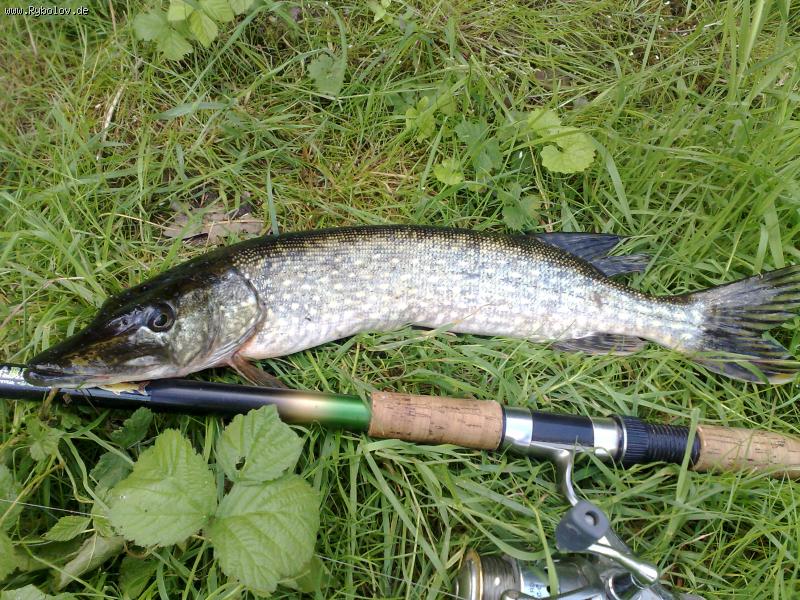 --schuka 1.o6.2009 - ������� (����������)