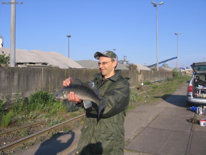 -- ������� ! - ������� (����������)