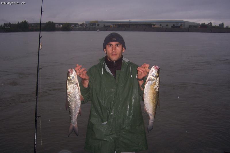 --������ ����� - ������� (����������)