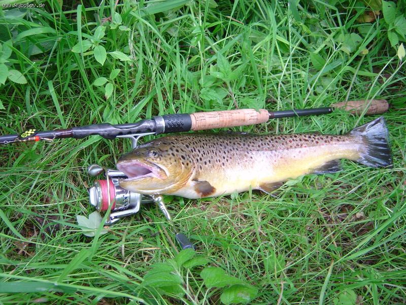 --������ 47�� / 1 �� - ������� (����������)