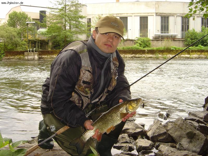 --�������� ����� 1 ��. - ������� (����������)