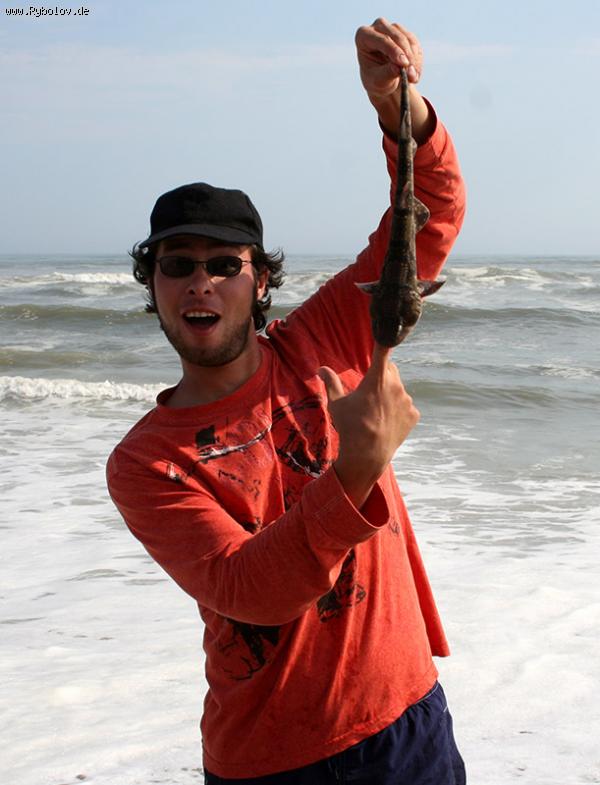 --�� ����� - ������� (����������)