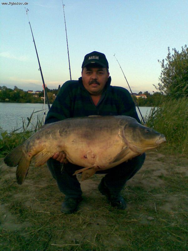 --��������, ������ 20�� � ���� ���� - ������� (����������)