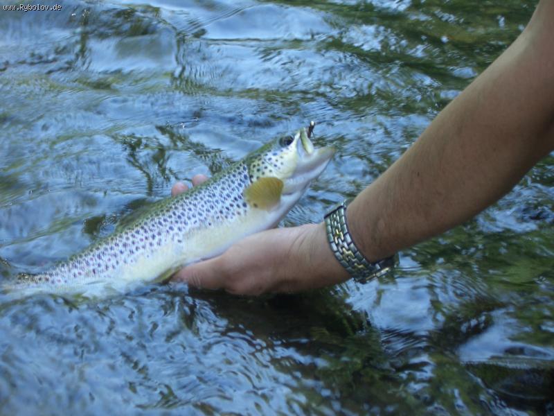 --���������� - ������� (����������)