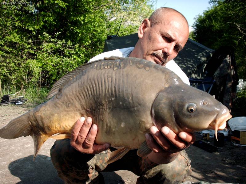 --L2 - ������� (����������)