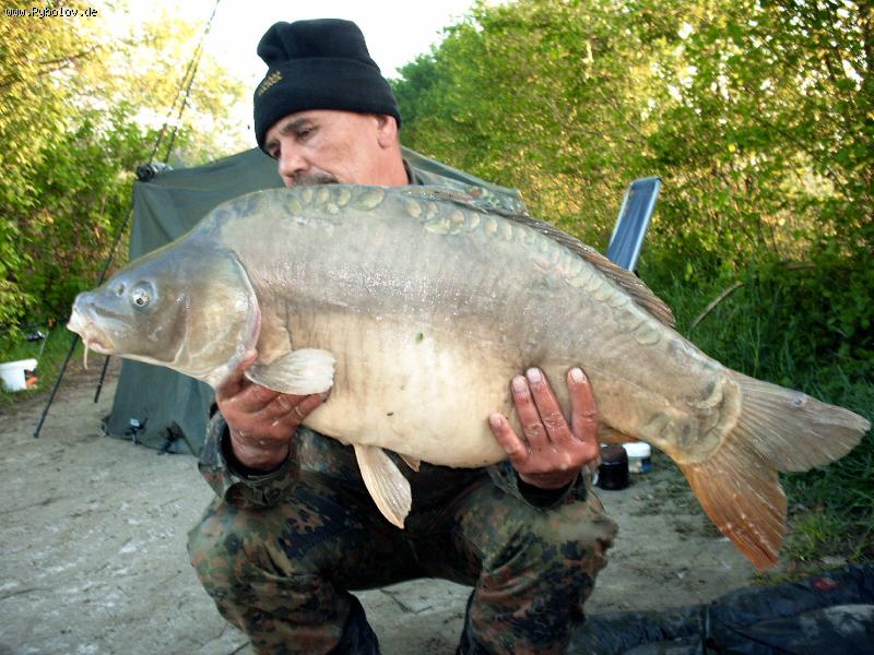 --L5 - ������� (����������)