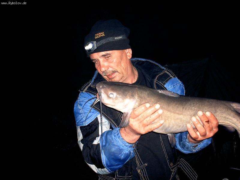 --Katzenwels - ������� (����������)