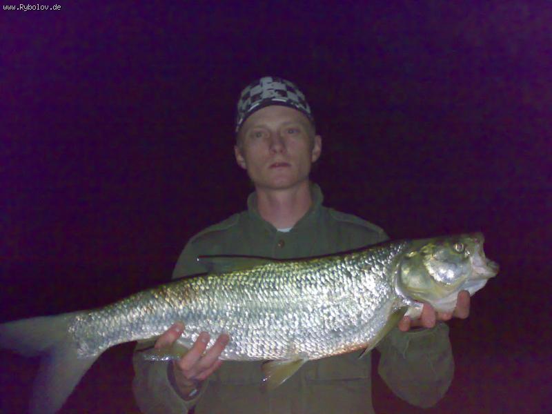 --������ - ������� (����������)