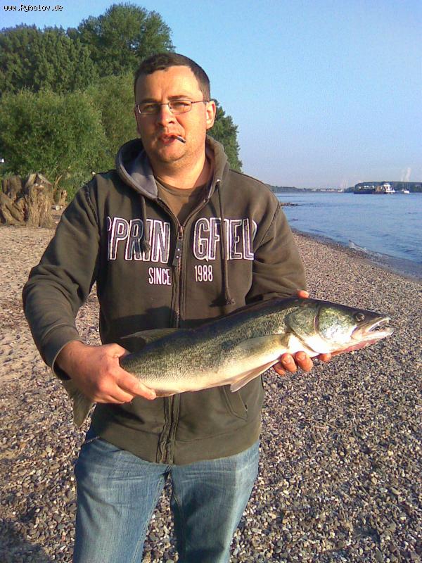 --����� - ������� (����������)