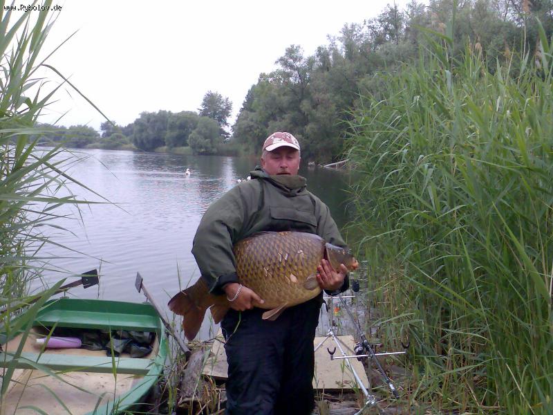 --������� - ������� (����������)