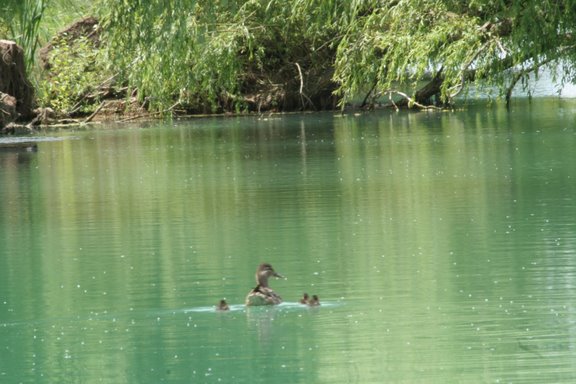 --������� - ������� (����������)