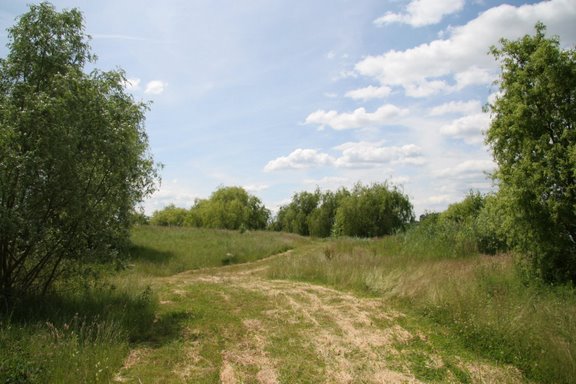 --� ����� � ������� - ������� (����������)