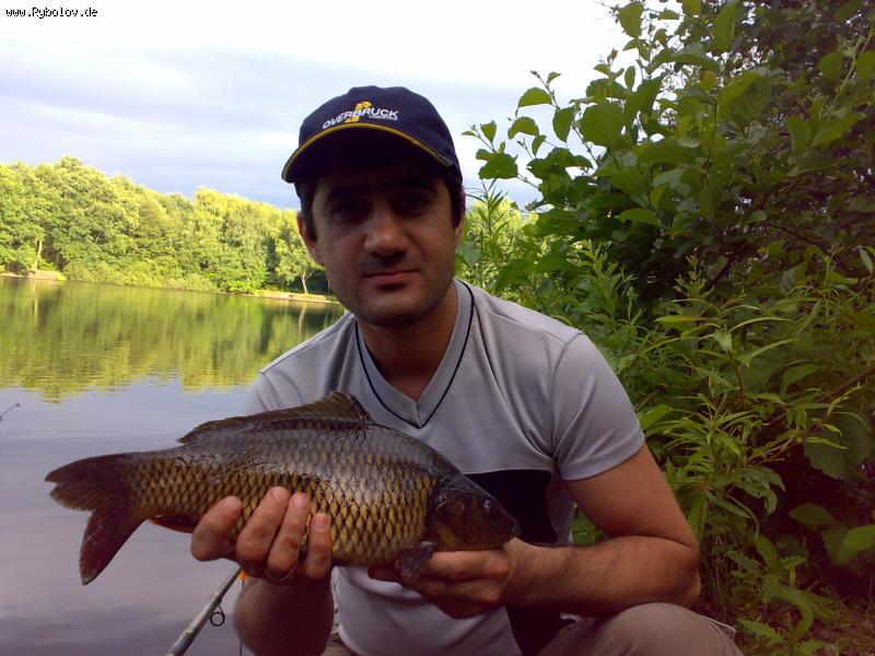 --��������� - ������� (����������)