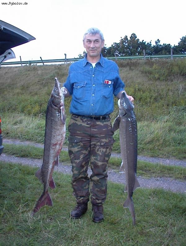 --������ � �������� - ������� (����������)