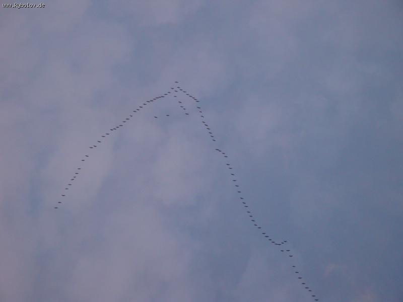 --����� - ������� (����������)