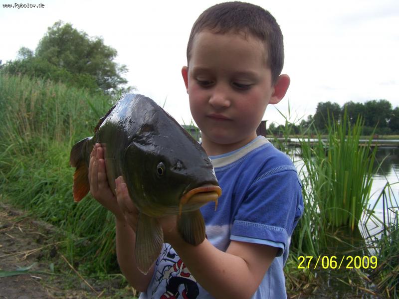 --��� ��� � ���������� ��������. - ������� (����������)