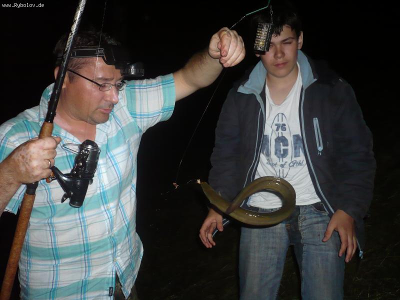 --��������� ����... - ������� (����������)