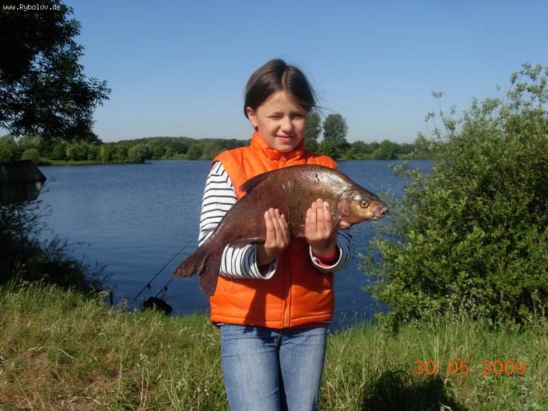 --����� � ������. - ������� (����������)