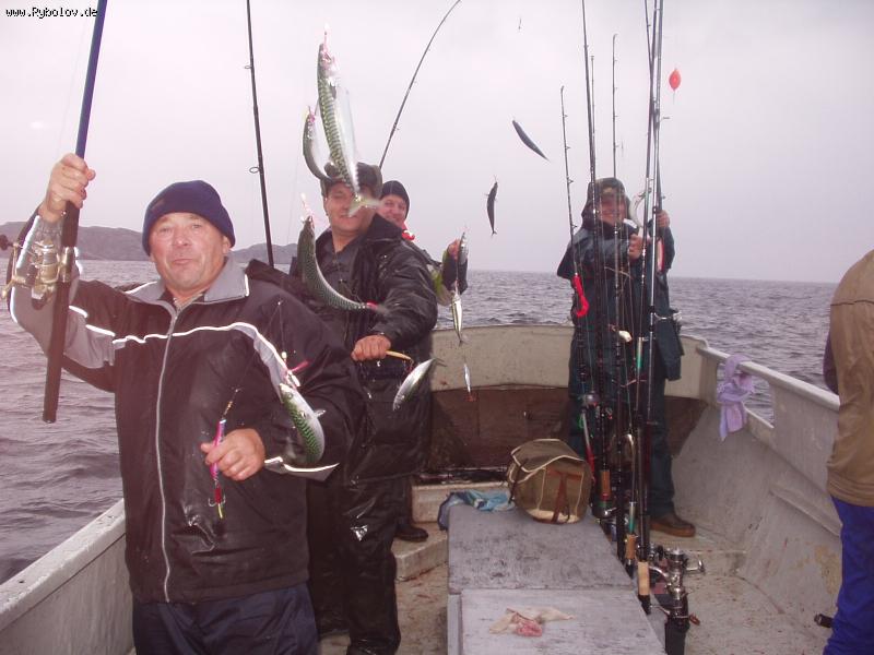 --Makrelle - ������� (����������)