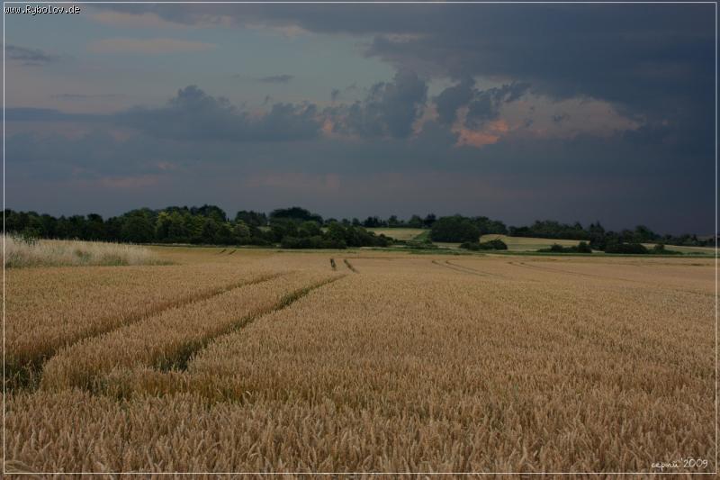 --����� ����� ������ - ������� (����������)