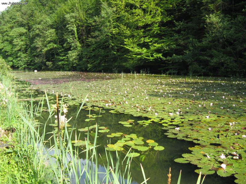 --������. - ������� (����������)