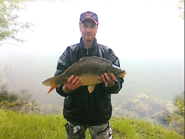 --��� ������ ���� - ������� (����������)