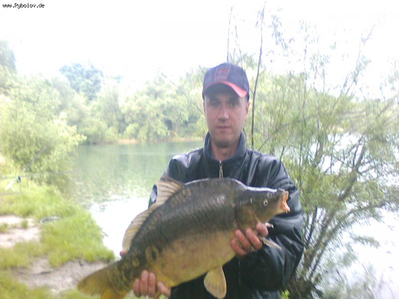 --��� ������ ���� - ������� (����������)