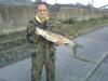 Жерех - рыбалка (фотоальбом)