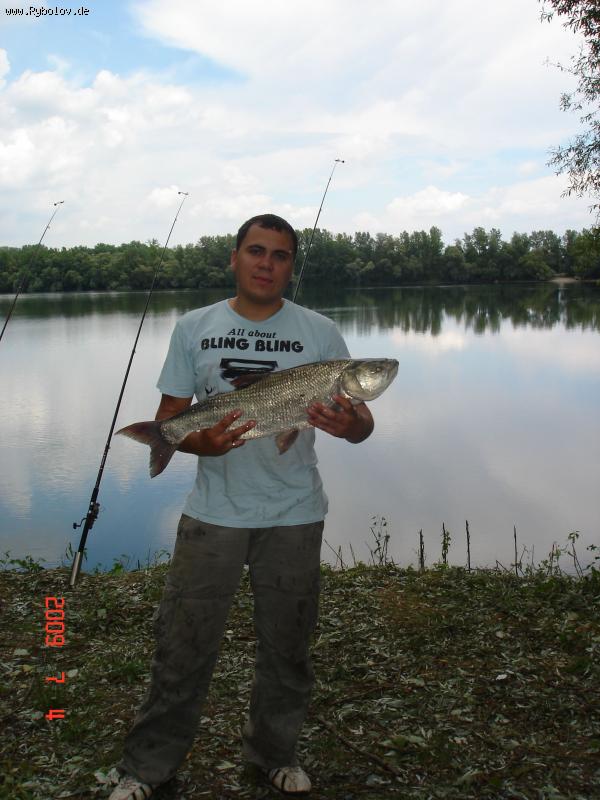 --�����  5. �� - ������� (����������)