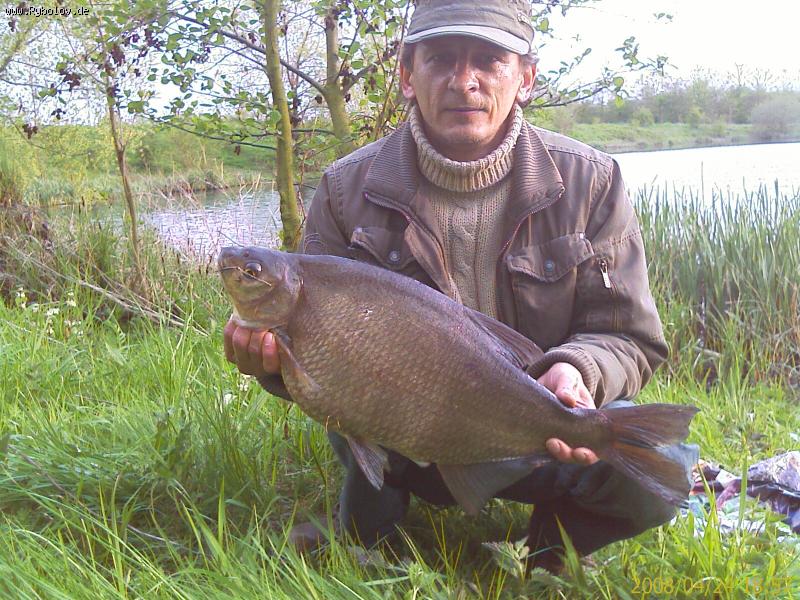 --��� - ������� (����������)