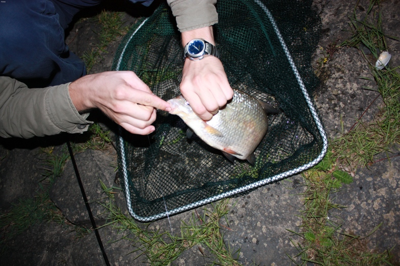 --������� ����� - ������� (����������)