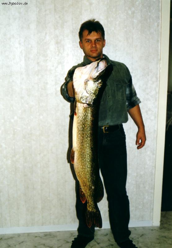 --��� ���, ������ � �������. - ������� (����������)