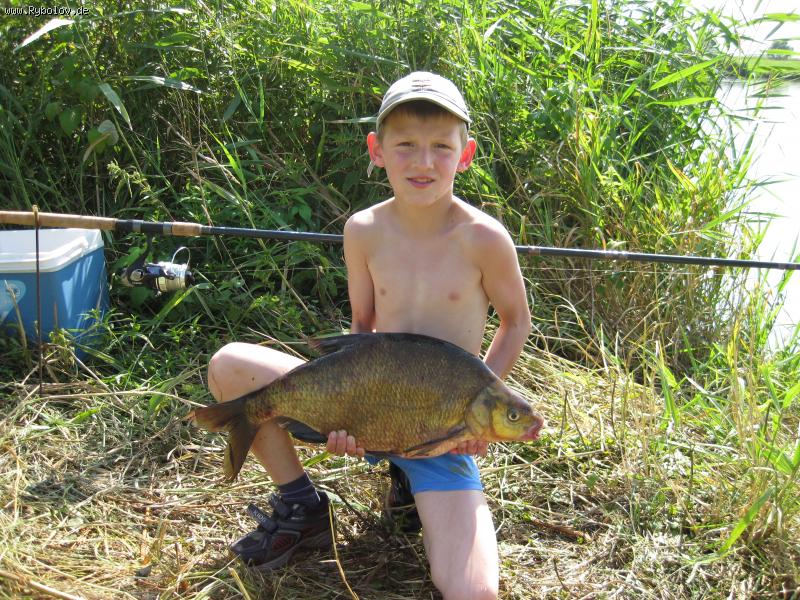 --���,������ ��� �� ������� - ������� (����������)