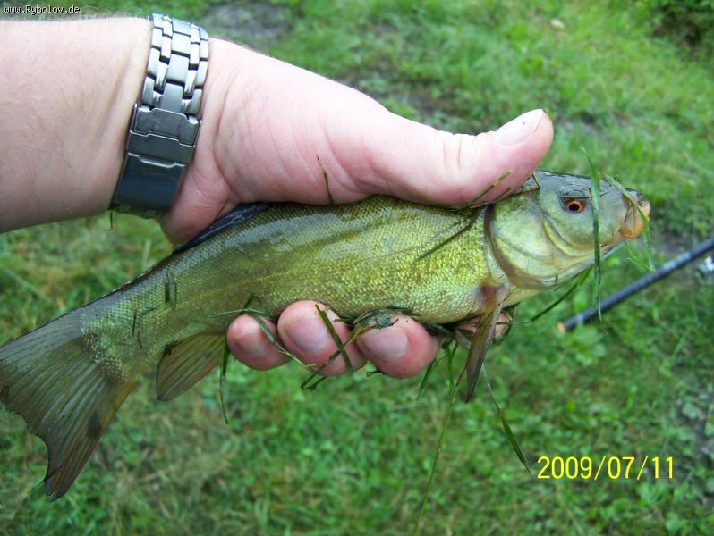 --� ���� ���� � ������ ��� ������ ����� ���� ! �� �������� !!! :-) - ������� (����������)