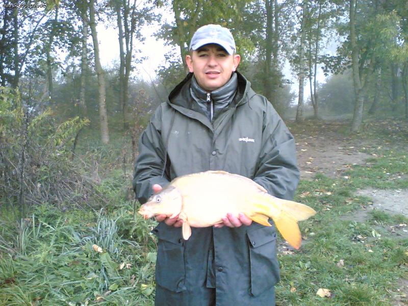 --Blonde Karpfen -  ()