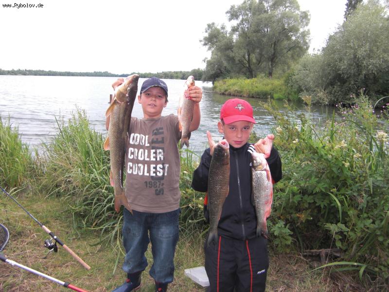 --stausee plopsheim - ������� (����������)