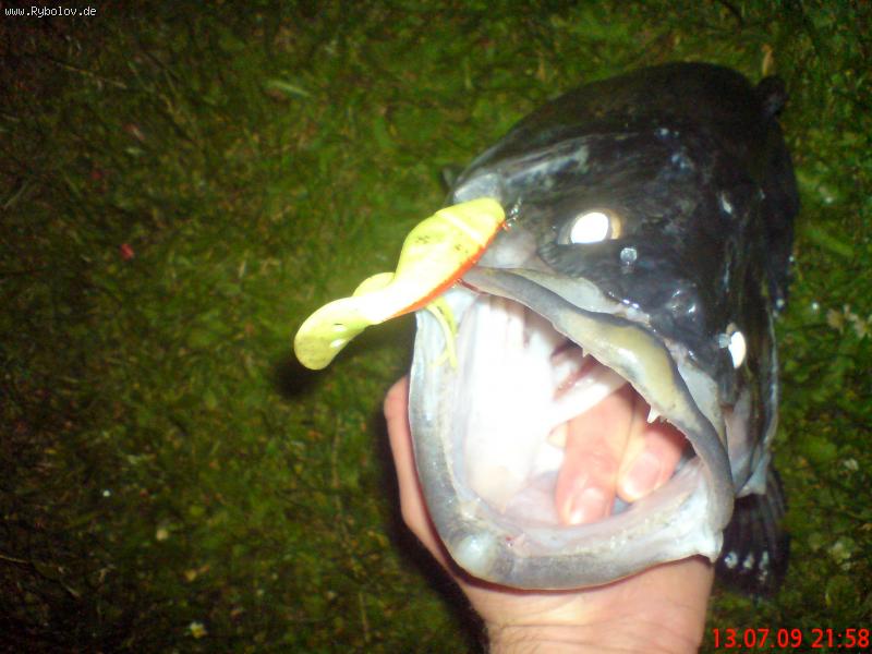 --������� ���������... - ������� (����������)