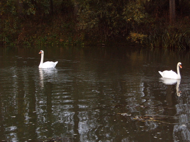 --������ - ������� (����������)