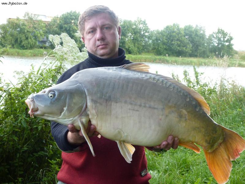 --Карп, Красовец. - рыбалка (фотоальбом)