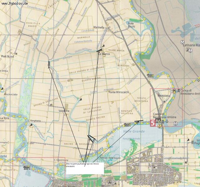 --BIBIONE - ������� (����������)