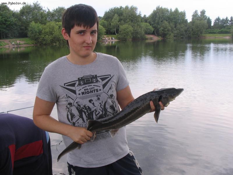 --Taich Zwillbrok - ������� (����������)