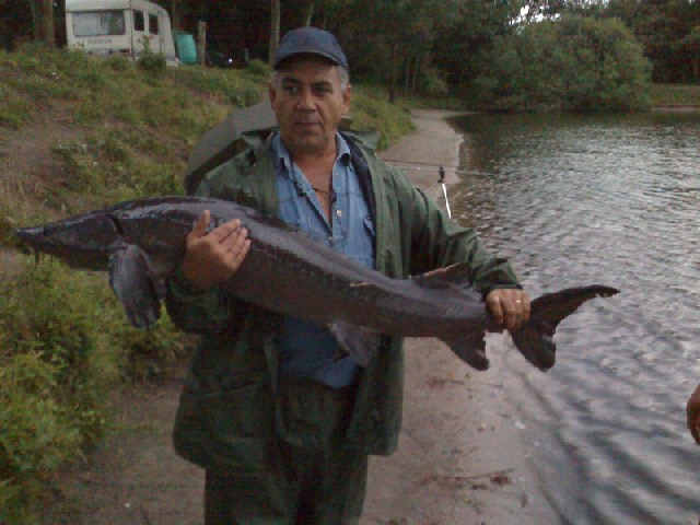 --Taich Zwillbrok - ������� (����������)