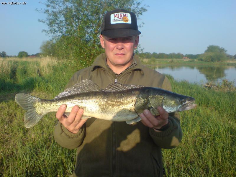 --��  �����  ��  �����  ��  ���  ���������. - ������� (����������)